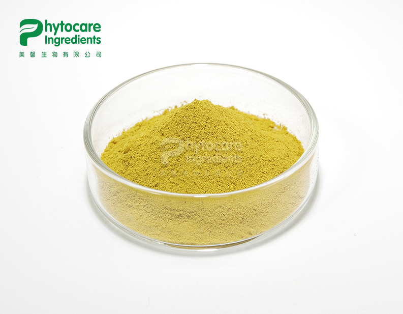 Cotinus Coggygria Extract